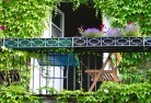 Griffith ACTrooftop-and-balcony-gardens-18.jpg; ?>